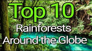 Top 10 Rainforest Around the Globe