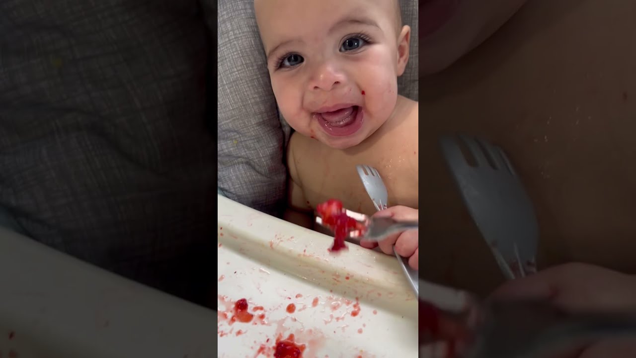 Baby Led Weaning First Babies Reactions 