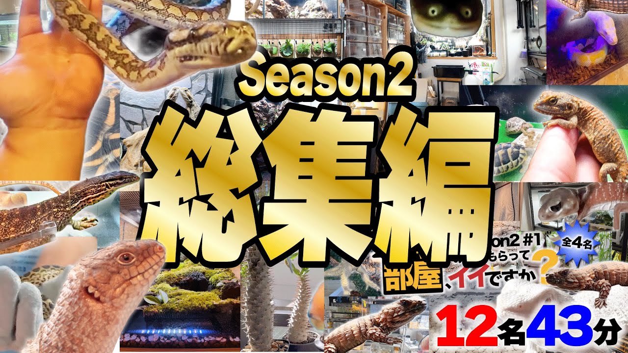 【猛者集合】12名の飼育部屋、見せちゃいます！部屋見せてもらってイイですか？season2総集編 【 爬虫類 】