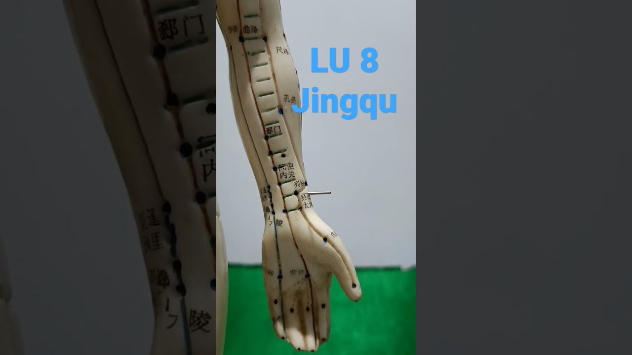 Titik Akupunktur Meridian Paru 8 Jingqu