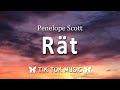 Penelope Scott - Rat (Lyrics) "Oh, you're so traumatized it makes me want to cry"