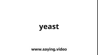 How to say yeast in English