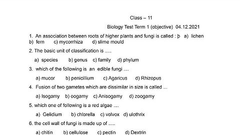 PSEB Biology Revision Test Paper 2 | Class 11 | 04/12/21| Scholar Tutorial