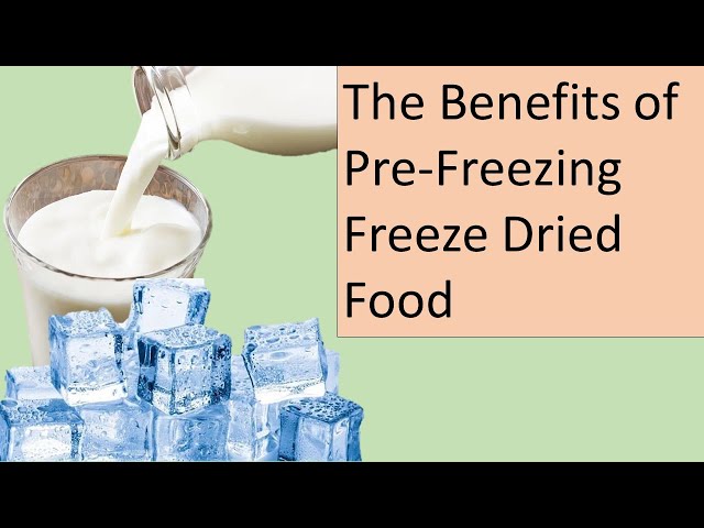 Freezing Food in Glass - Why We Love It, What You Can Freeze, & Tips – Biome