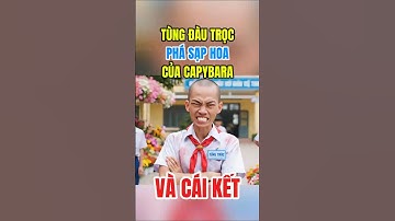 Capybara Bị Tùng Đầu Trọc Phá Sạp Hoa Và Cái Kết Ê Chề