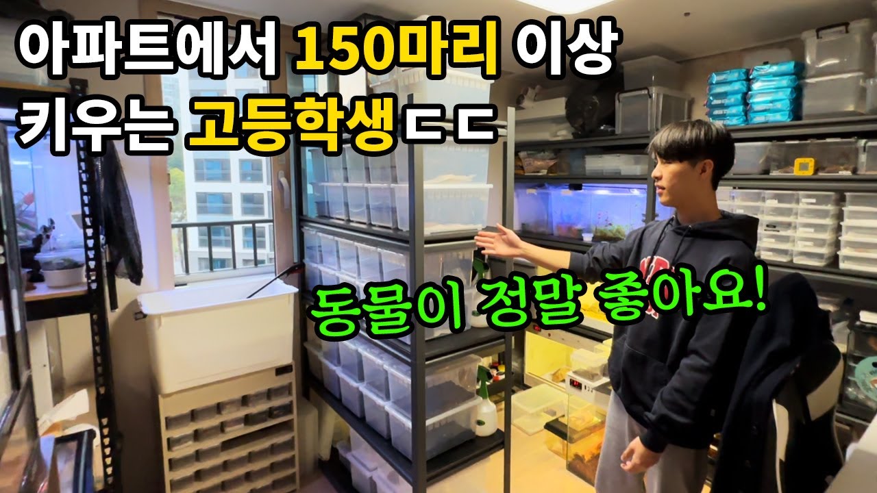 역대급 고등학생 등장! 방에서 키우는 파충류만 150마리래요ㄷㄷ