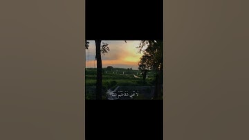 • سورة: النجم (٢٤)• الحصري ..#قرآن #قران_كريم #الحصري #الله #quran #allah