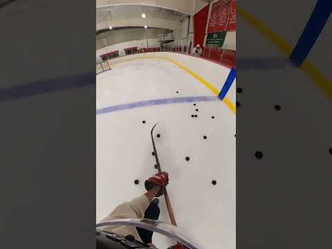 my POV when I stickhandle 👀🏒