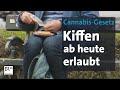 Cannabis-Gesetz: Teil-Legalisierung tritt in Kraft | BR24