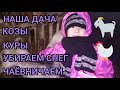 НАША ДАЧА😀/СЕНО😱/КОЗЫ🐐/КУРЫ🐓/ЧИСТИМ СНЕГ❄/УСТАЛИ😛/ЧАЁВНИЧАЕМ☕