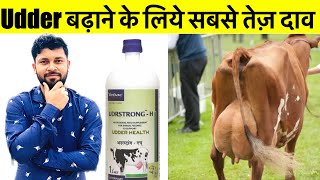 Udrstrong-H गाय भैंस की लेवटी बढ़ाने का सबसे तेज़ दवा vitamin H की पूरी जानकारी।दूध बढ़ाने का नुस्खा