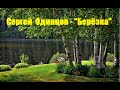 Сергей Одинцов - &quot;Берёзка&quot;.  Новинка музыки.