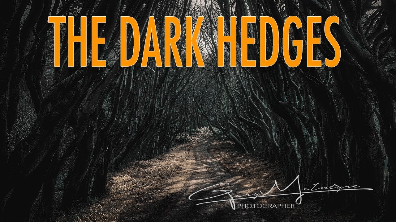 The Dark Hedges YouTube