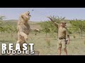 I Have 7 Lions And They've Tried To Kill Me | BEAST BUDDIES