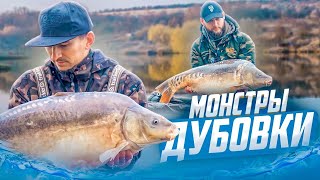 видео: УХ, НЕ МОЖЕМ ПОДНЯТЬ РЫБУ ИЗ ВОДЫ, Вот это мощь. РЫБАЛКА. Озеро Дубовка картинка: УХ, НЕ МОЖЕМ ПОДНЯТЬ РЫБУ ИЗ ВОДЫ, Вот это мощь. РЫБАЛКА. Озеро Дубовка