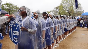 The Quintessential Alpha Chapter of Zeta Phi Beta Probate SPR 25 | Howard University