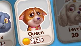 Solitaire Pets Fun Card Game Video screenshot 1
