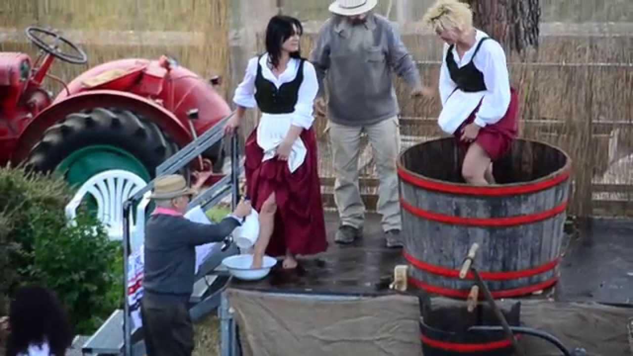 FESTA DELL'UVA - La Pigiatura - FdU2015