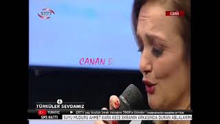 Karamık Dalını Eğmiş Kenara / Canan Başkaya Resimi