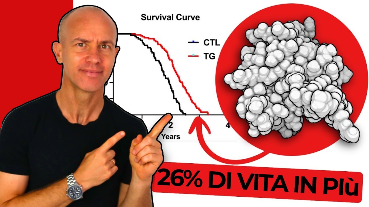 L’Ormone che Allunga la Vita (e che nessuno conosce)
