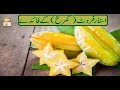 Watch Hikmat Aur Sehat - 6th March 2019 - ARY Qtv Online In HD