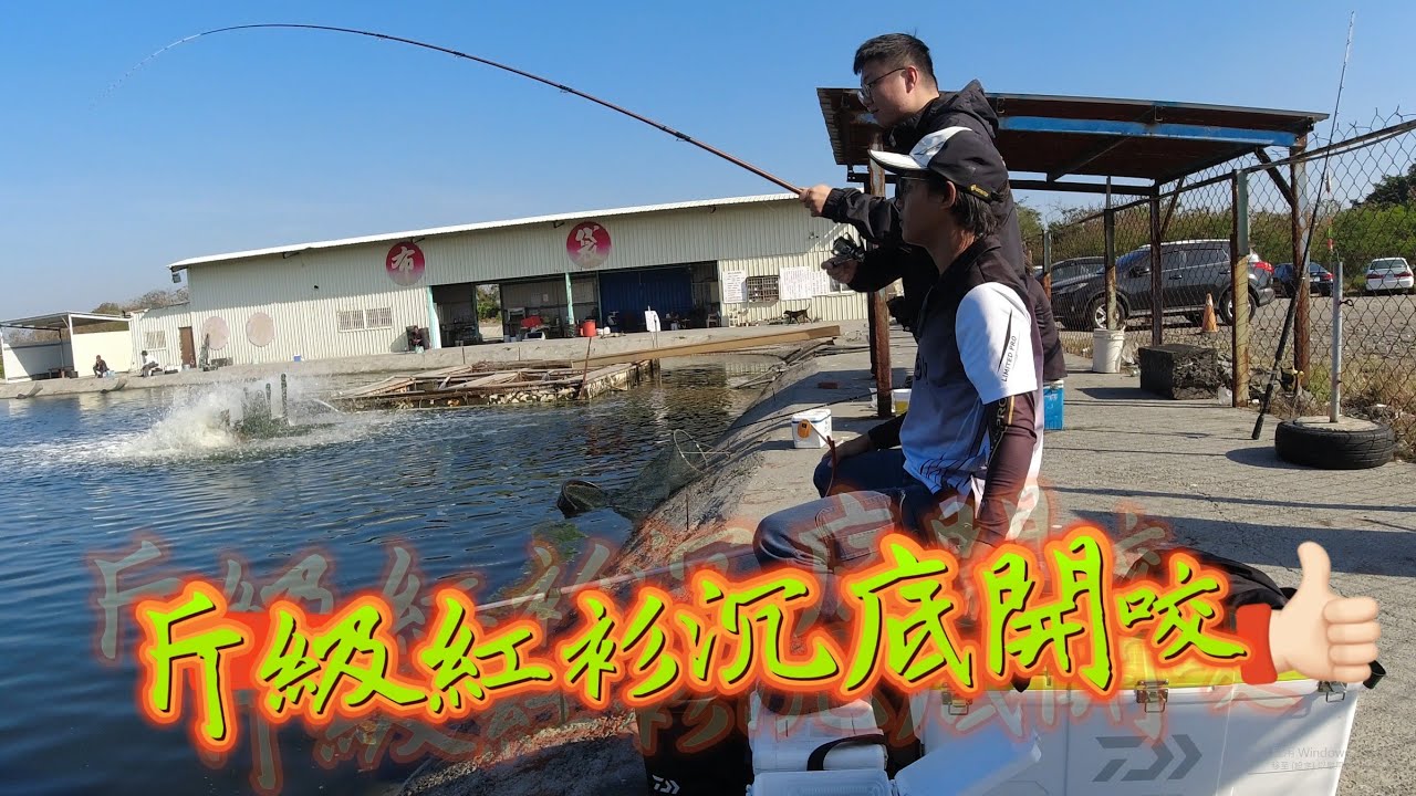 【布袋海釣場】朗鬍鬚蝦，斤級紅杉吃沉底訊號！魚還沒有忘記我....