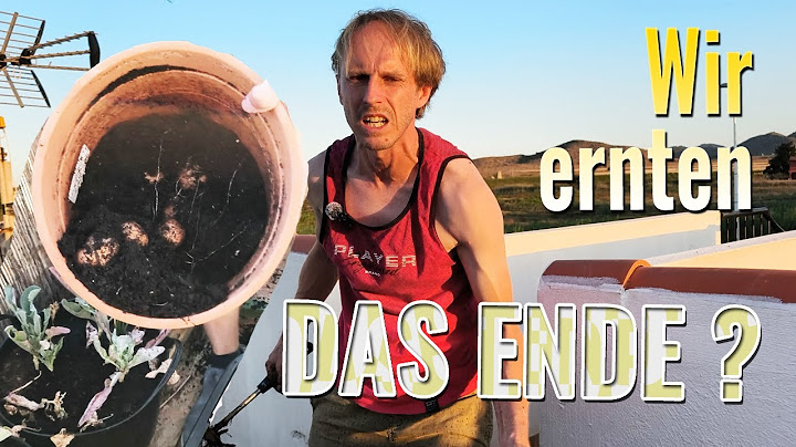 Das (vielleicht) letzte Video – Warum mein Gartenprojekt gescheitert ist