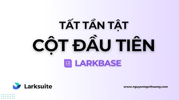 Nhập môn larkbase: cột chính trong bảng larkbase