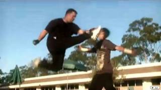 Wushu vs Karate | Martial Arts Fight Scene