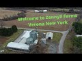 Zennyll Farms Tour & History- The American Dream Farming