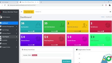 Binary MLM Plan User Panel Demo in Hindi by Real MLM Software