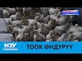 ТООК ӨНДҮРҮҮ\\АЗЫРКЫНЫН АЗАМАТТАРЫ\\NewTV