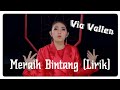 Download Meraih Bintang Via Vallen Lirik Remix mp3