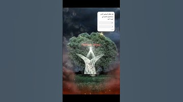 والخيل والحمير والبغال لي تركبوها قران كريم بصوت جميل الشيخ ياسر الدوسري #قران_كريم_بصوت