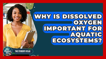 Why Is Dissolved Oxygen Important For Aquatic Ecosystems? - The Student Atlas