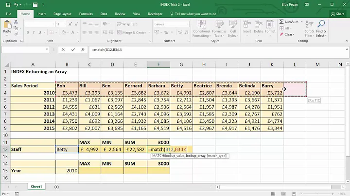 Use Excel's INDEX Function to Return an Array Vs Value