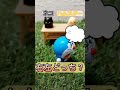 右左どっち?ドラえもんが嫌いな〇〇〇ができてしまったwww#shorts