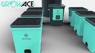 AirCube Active Oxygen Ebb and Flow Grow System Unboxing & Setup - AirCube Grow EP1