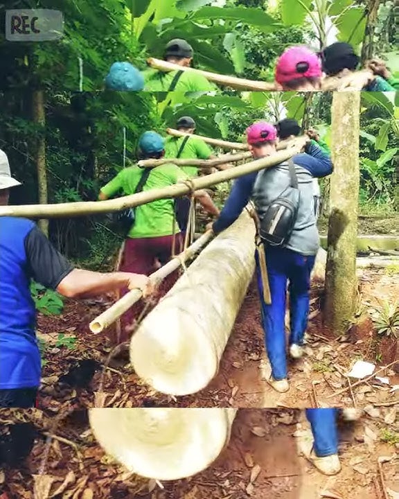 tiktok lucu saat panggul kayu