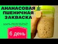 Закваска для хлеба на ананасовом соке ☆ 100% результат ☆ ДЕНЬ 6 ☆ ПОСЛЕДНИЙ