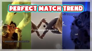 Perfect Match Trend TikTok Challenge Compilation (February 2021)