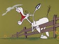 Laughing Unruly Horse Funny Scene 