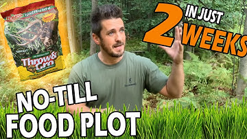 🌱No Till Food Plot🍀Grows in Just 2 Weeks - Evolved Habitats Harvest Throw & Gro Review. Grow Demo