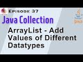 Heterogeneous ArrayList In Java | Java Collection Framework | ArrayList In Java Example