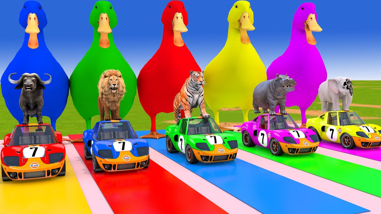 Long Slide Game With Cow Elephant Gorilla Hippopotamus Tiger - 3d Animal Game - Funny 3d Animals