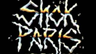 Shok Paris - Go Down Fighting (alternate version)