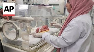Premature baby rescued from dead mother's womb dies in Gaza after 5 days in incubator