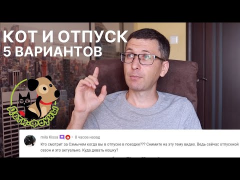 Видео: 3 способа заработать доверие кролика