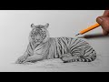 How to Draw a Tiger | Realistic Pencil Drawing