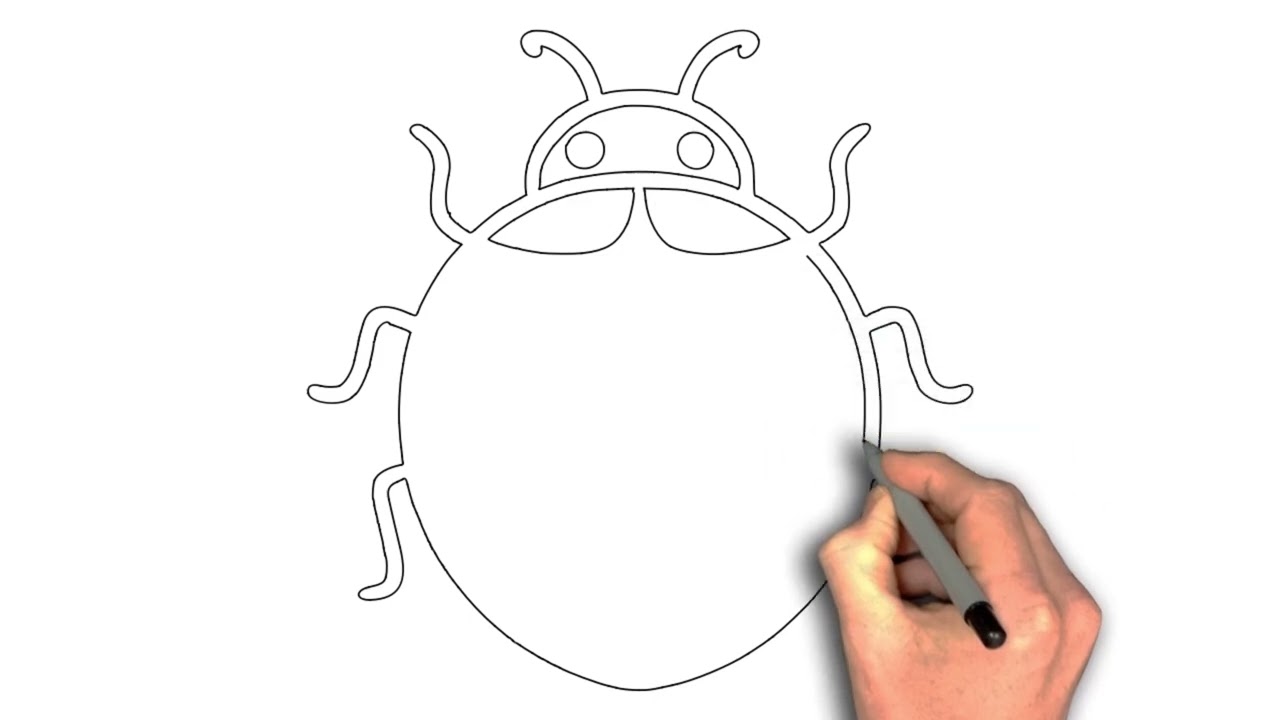 How to draw a Ladybug Close‑Up
